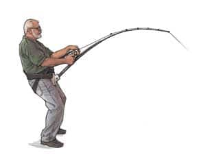 Melton Tackle Florida Gulf All Roller Stand-Up Trolling Rods