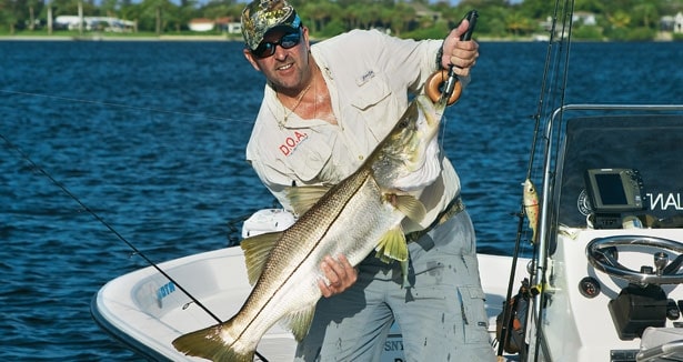 Everything You Need To Know For Better Saltwater Dock Fishin - Florida  Sportsman