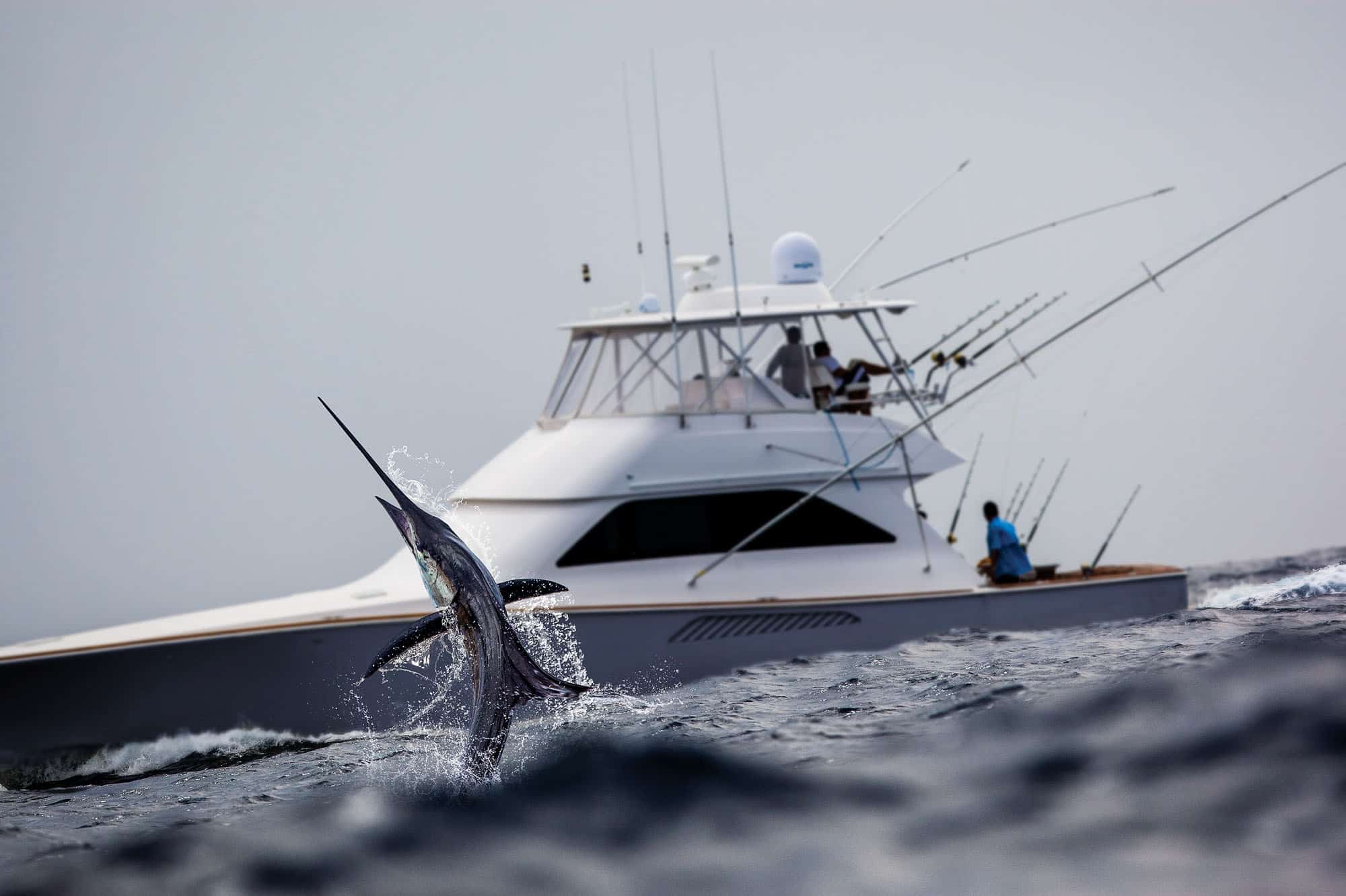 Fishing for MidAtlantic Billfish Salt Water Sportsman