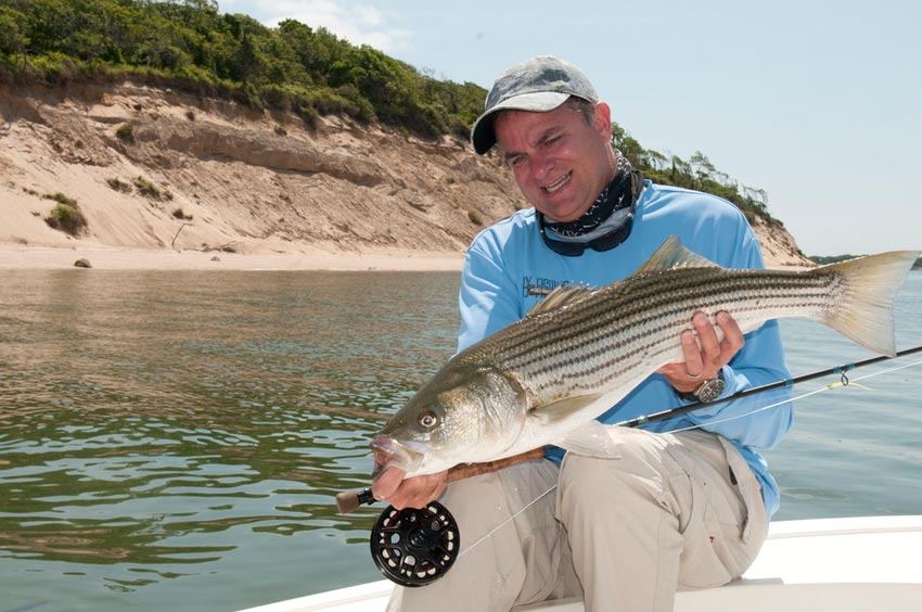 Striped Bass Fly Fishing on Long Island 