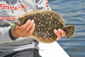 Flounder caught on a jig and soft plastic.