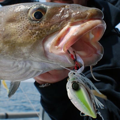 Bottom Fishing Jigs  Salt Water Sportsman