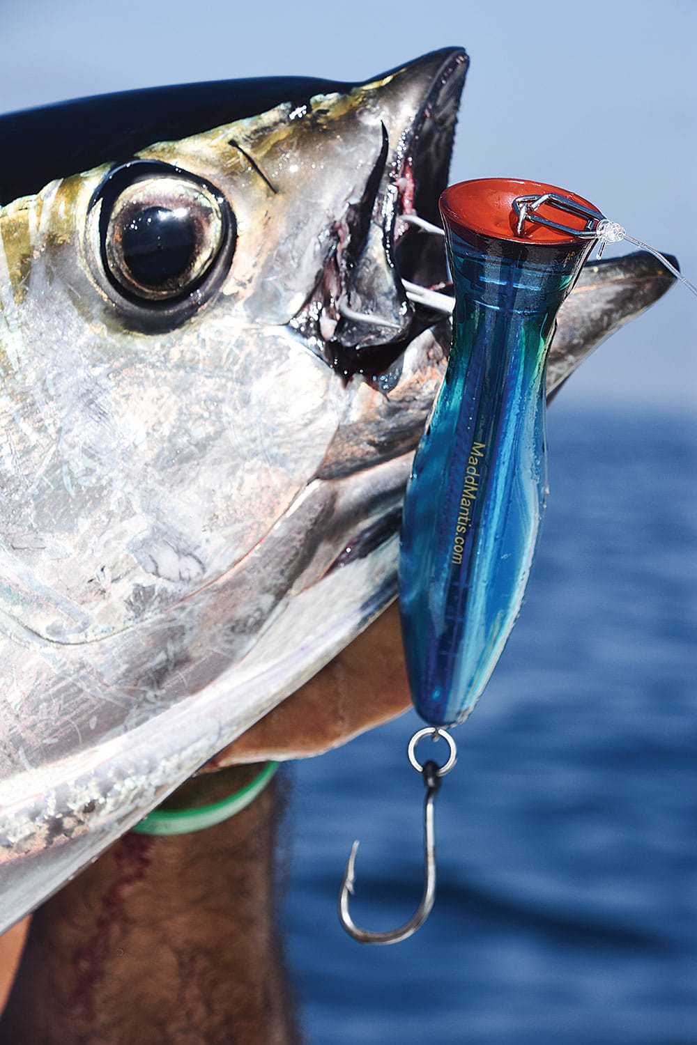 122lb Yellowfin #Tuna Caught on 20lb Braid and a Light Inshore Rod