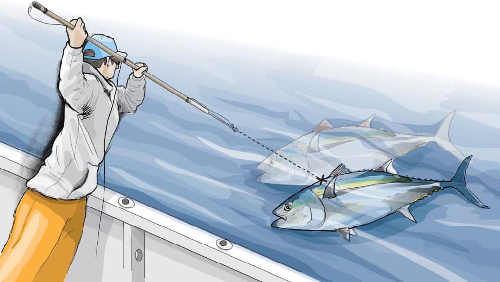 How to harpoon a giant bluefin tuna #tuna #harpoon #harpoonshot