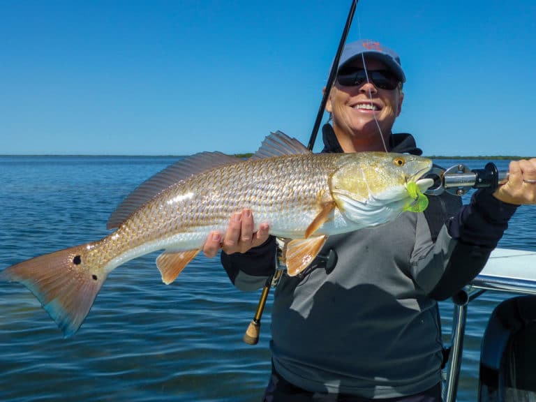 Florida Updates Redfish Regulations Salt Water Sportsman