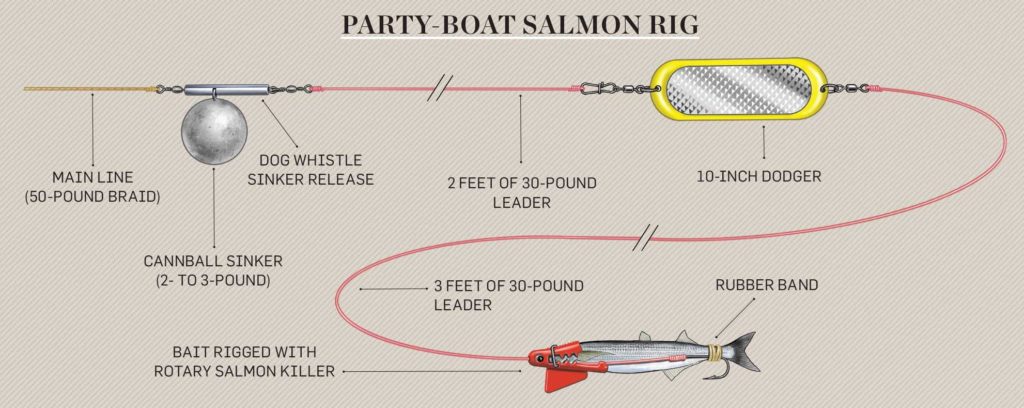 How to Catch California Chinook Salmon
