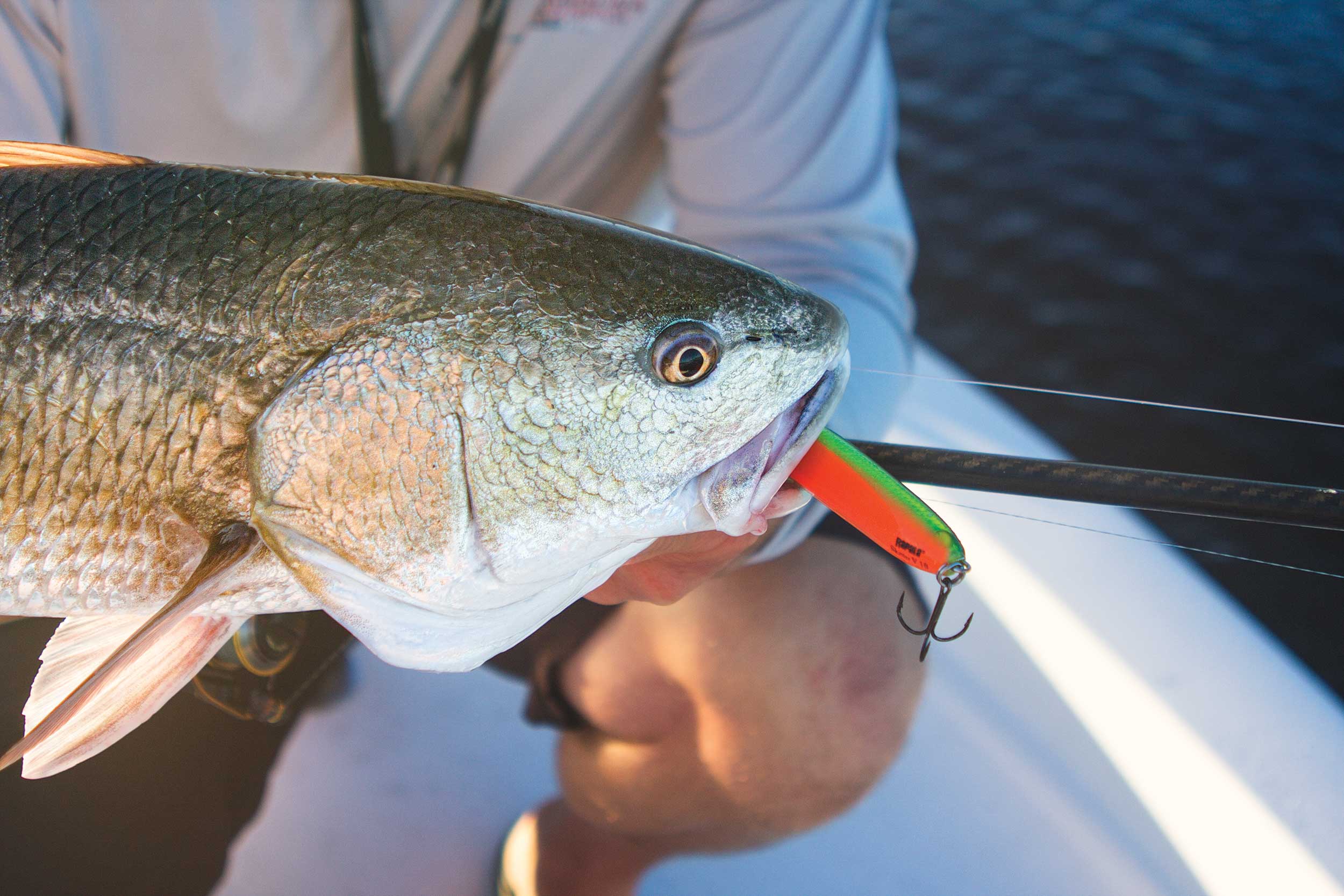 5 BEST lures for catching REDFISH 