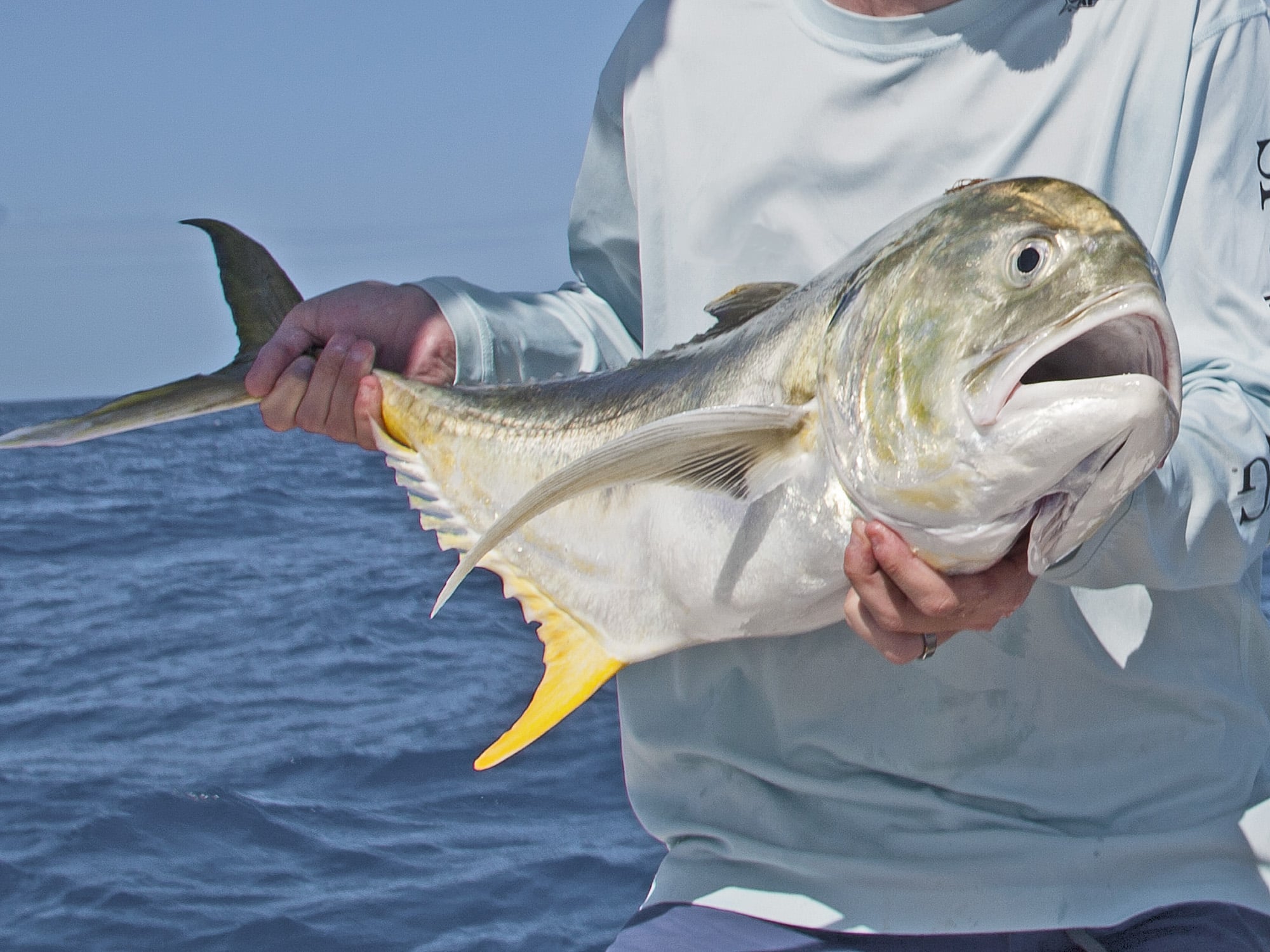 When to Retrieve Fishing Lures Fast | Salt Water Sportsman