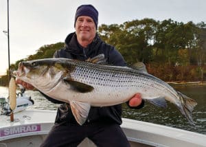 Trophy Striped Bass in Connecticut