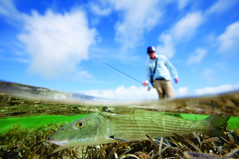 Bonefishing the Marls of Abaco