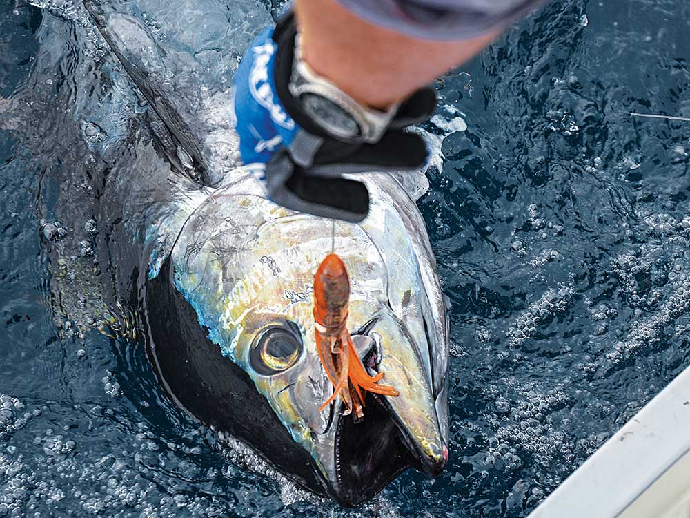 How to Fish for Giant Bluefin Tuna In the Winter