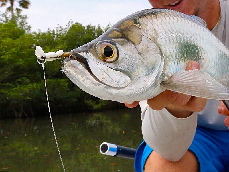 17 Best Tarpon Fishing Lures + Tarpon Baits