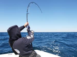 Saltwater vs. Freshwater Fishing Rods: Differences, Maintenance Tips, And  When To Use Each One 