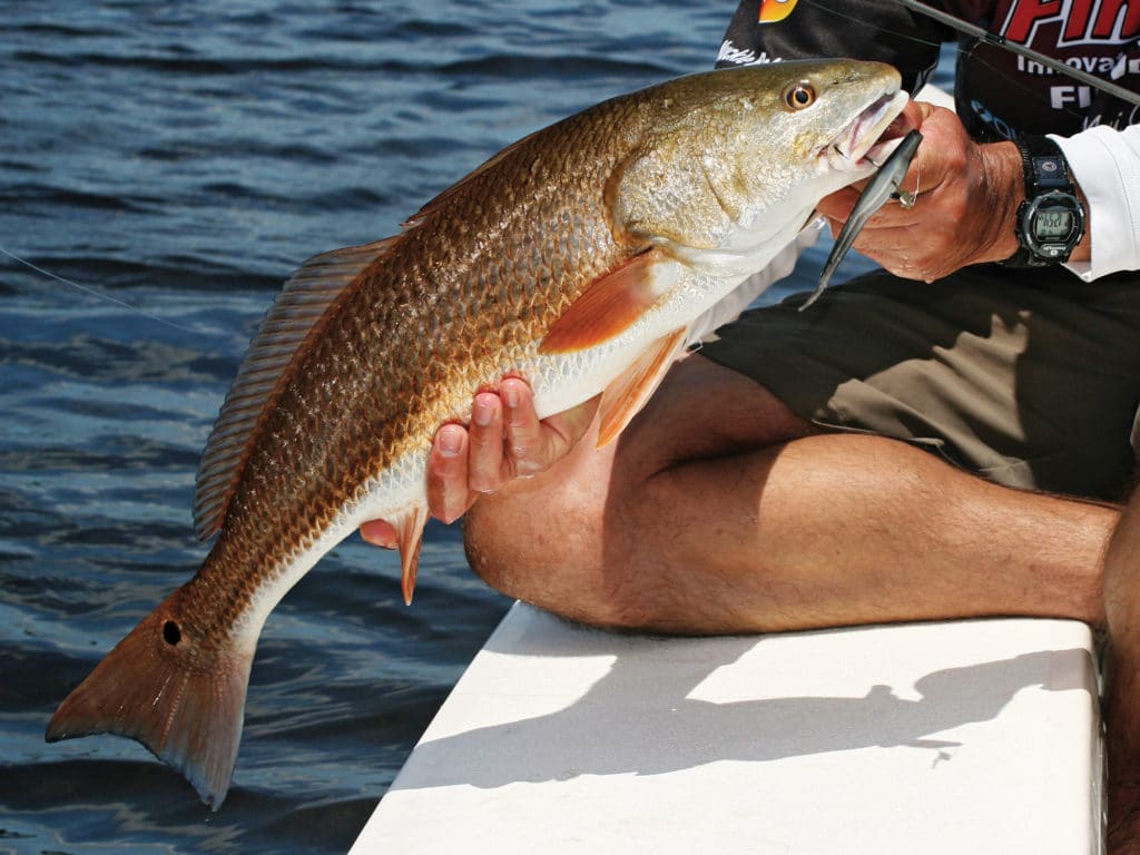9 Best Redfish Lures & Baits in 2023 - Cast and Spear