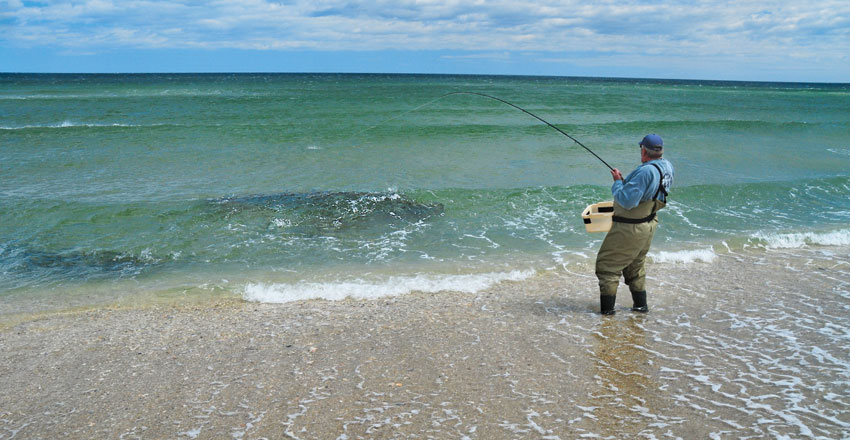 2013 NJ Saltwater Fishing Regulations
