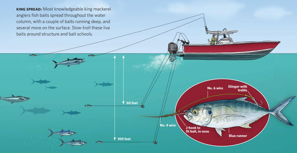 Mackerel baits. How do I get them? Hooks 2? :: Fishing Sim World®: Pro Tour  General Discussions