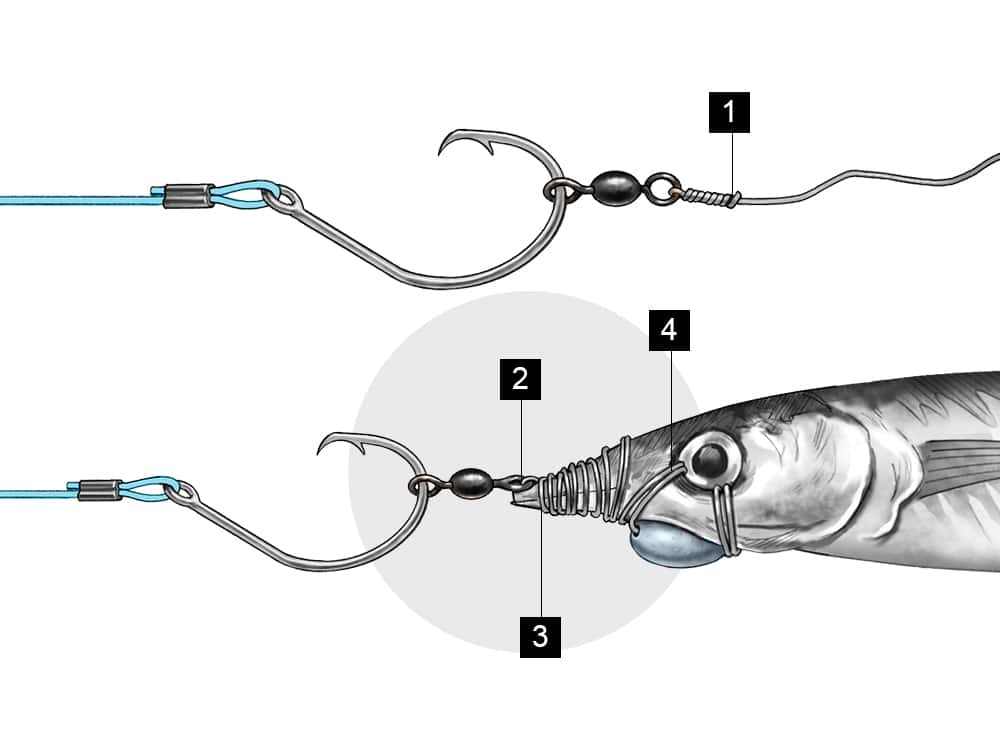 How to rig a circle hook mackeral for swordfish. Check it out! You