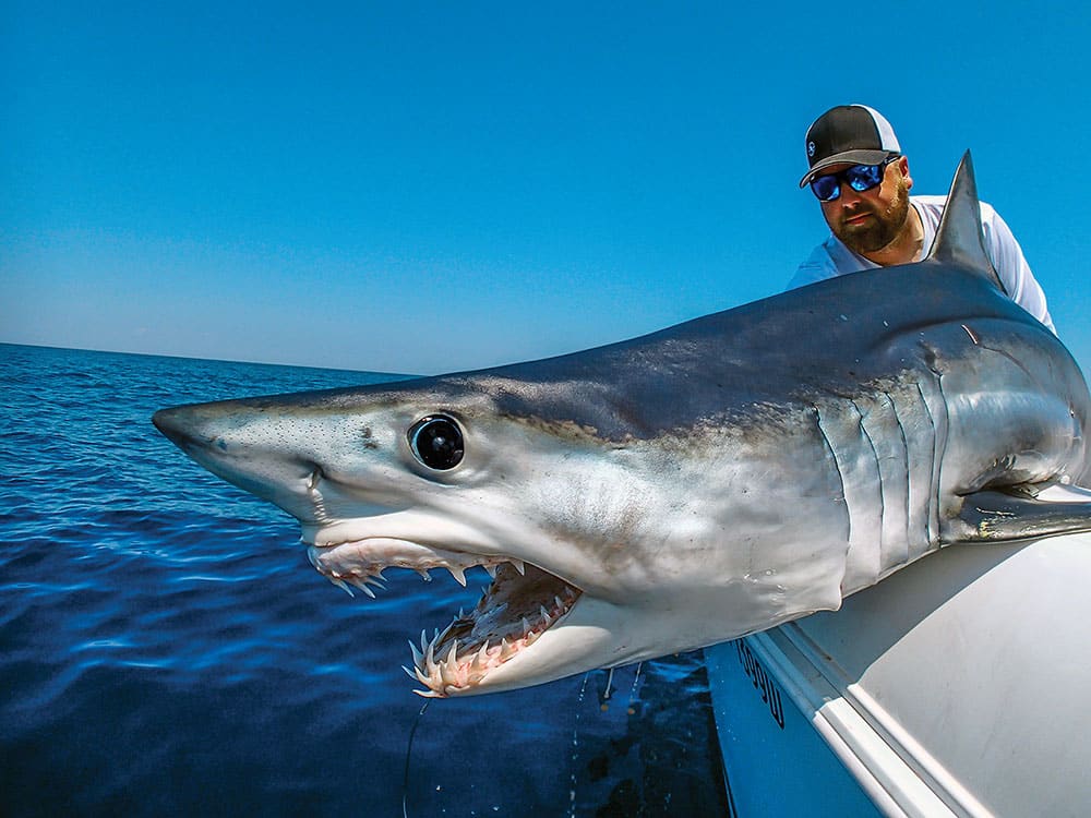 What You Need To Know About Shark Fishing: Fly Fishing Editi