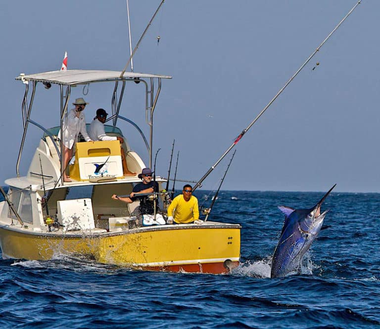 Beautiful Offshore Fishing Photos | Salt Water Sportsman