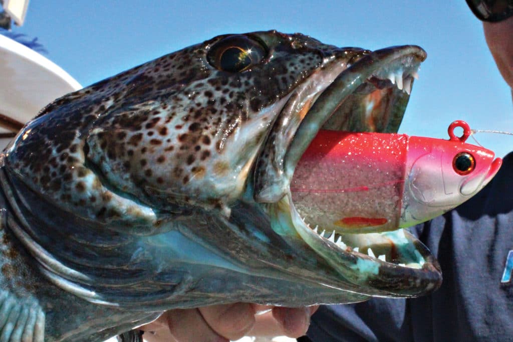 How to Fish Swimbaits in Saltwater