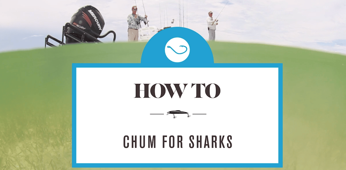 How to Chum  Salt Water Sportsman