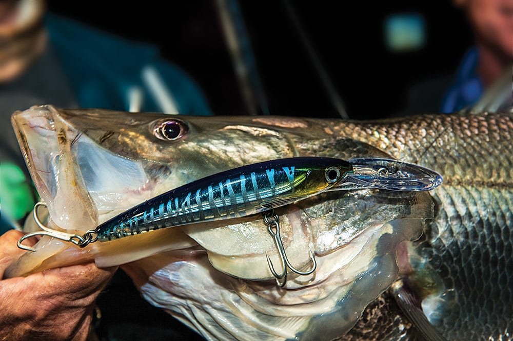 How and Where to Catch Snook in South Florida