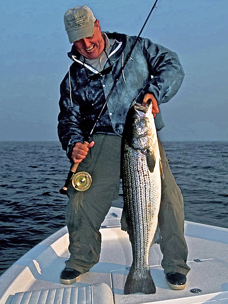 fly fishing for striped bass