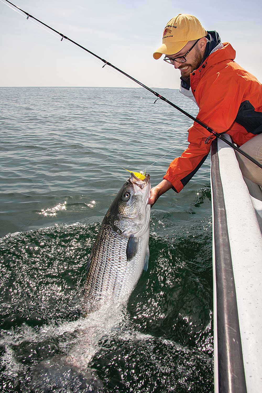 Striped Bass Season and Migration Salt Water Sportsman