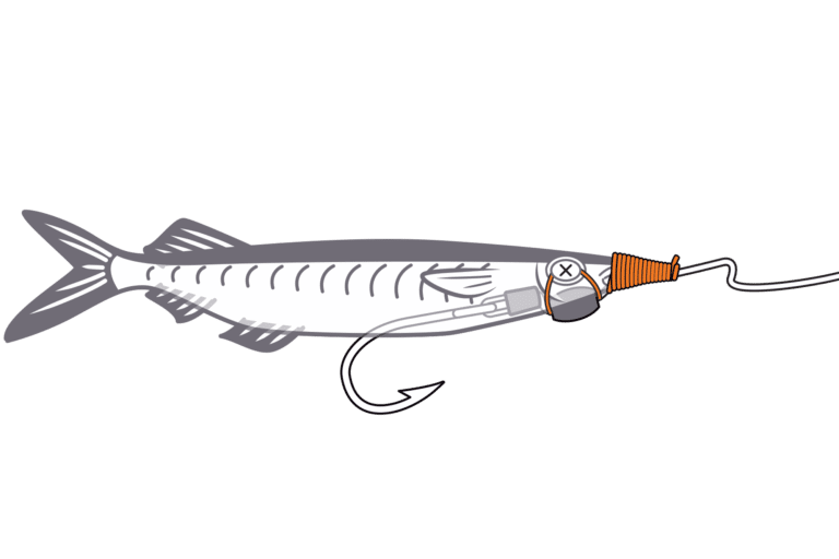 How To: Rig a Swimming Bait | Salt Water Sportsman