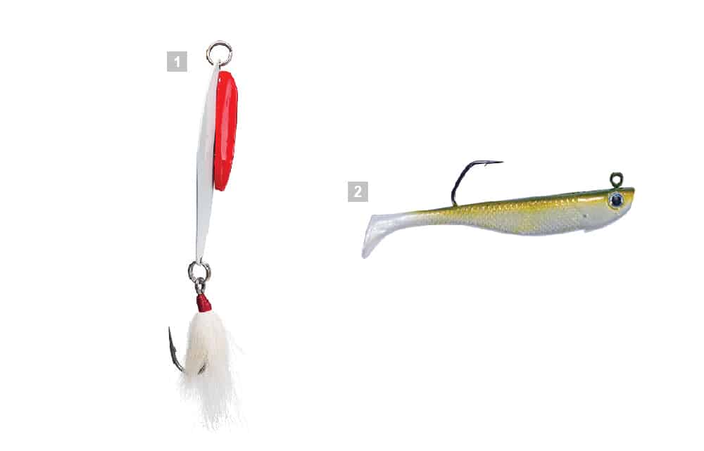 How to Use Planer Boards with Striped Bass Fishing Lures - Shore