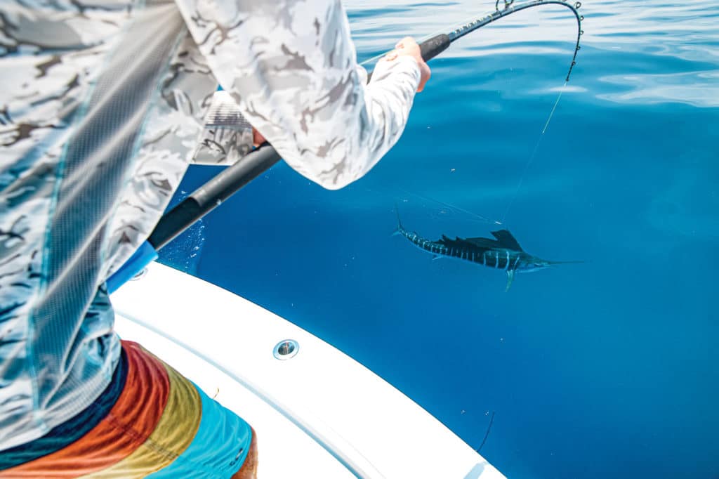 Eat My Tackle Offshore Fishing Kite Rod Blue Marlin Tournament Edition