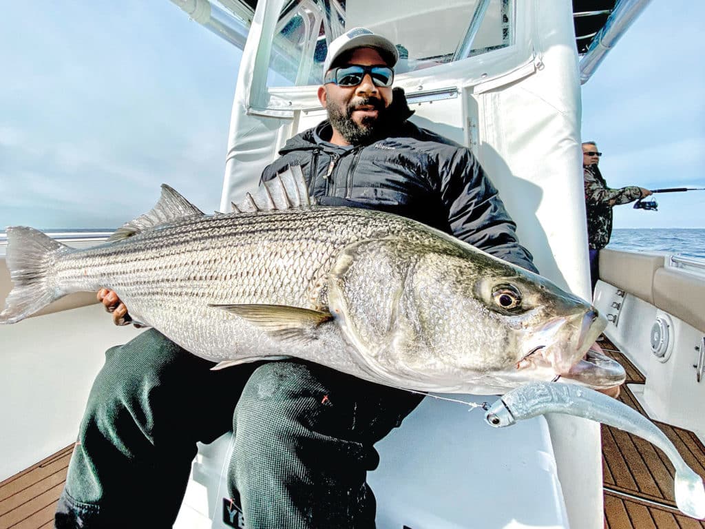 Rhode Island Striped Bass: Float and Fluke Rig