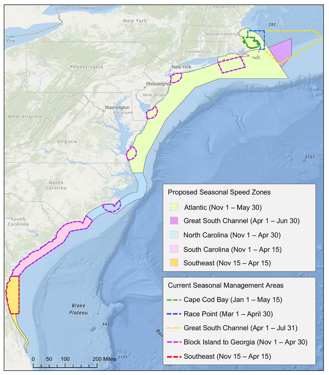 NOAA Proposes Vessel Speed Restrictions to Protect Right Whale | Salt ...