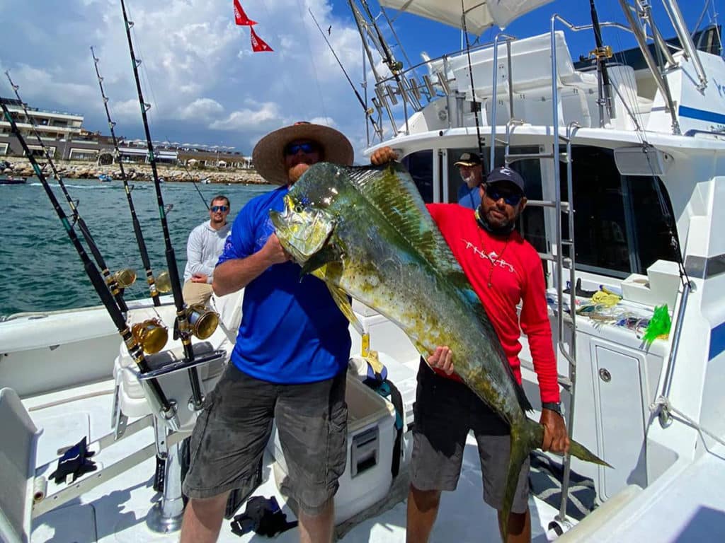 Caribbean Lures  World Sea Fishing Forums