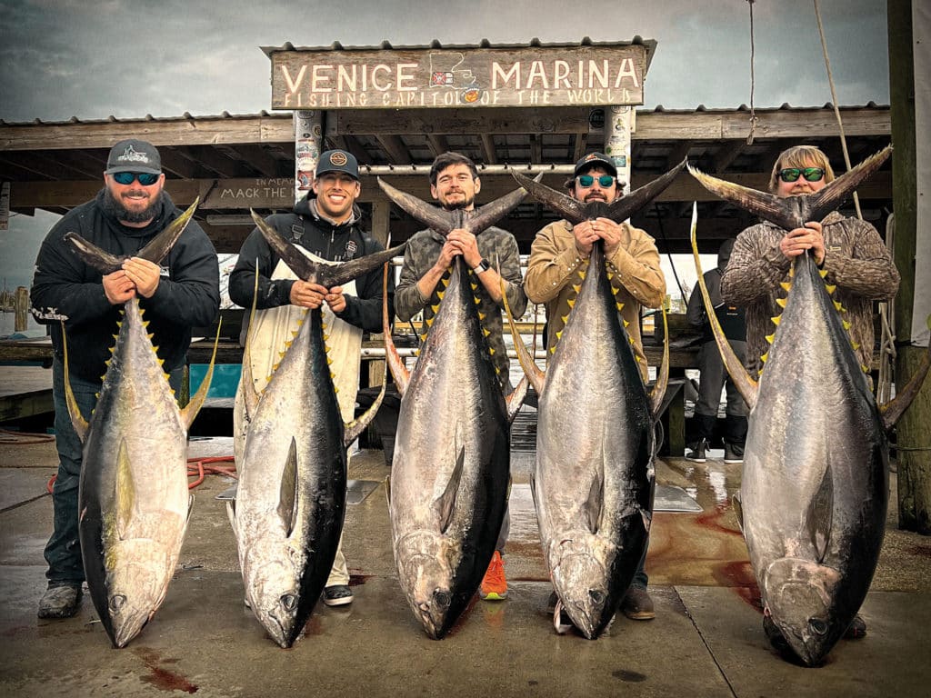Wintertime Tuna Fishing off Venice, Louisiana