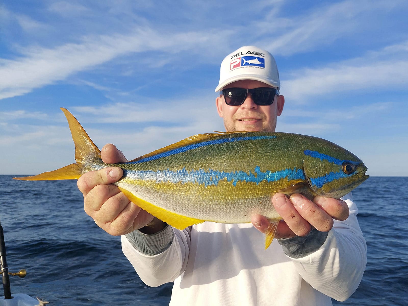 Worker Cleaning Filleting Fresh Caught Saltwater Stock Photo