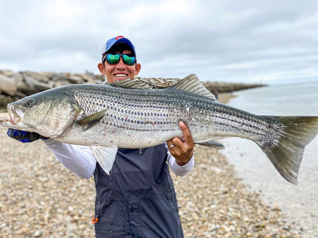 Massachusetts, Cape Cod: Striped Bass, ''Get Ready Here They Come!'' -  Flies and Fins