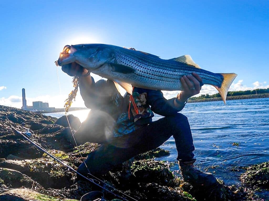 NEWYORK CITY SALTWATER FISHING - Fishing Clips 2020 