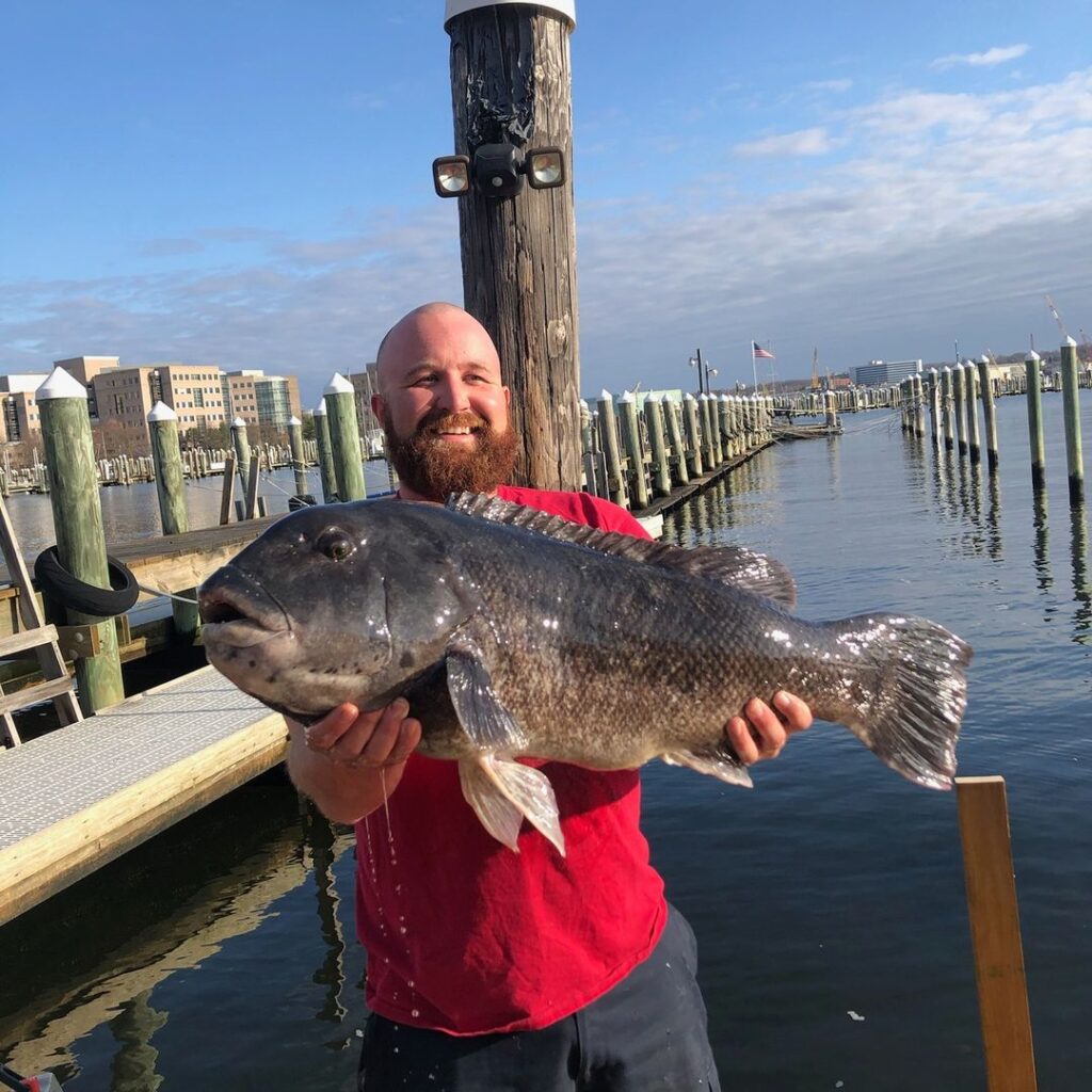 Possible world record catfish caught in Connecticut