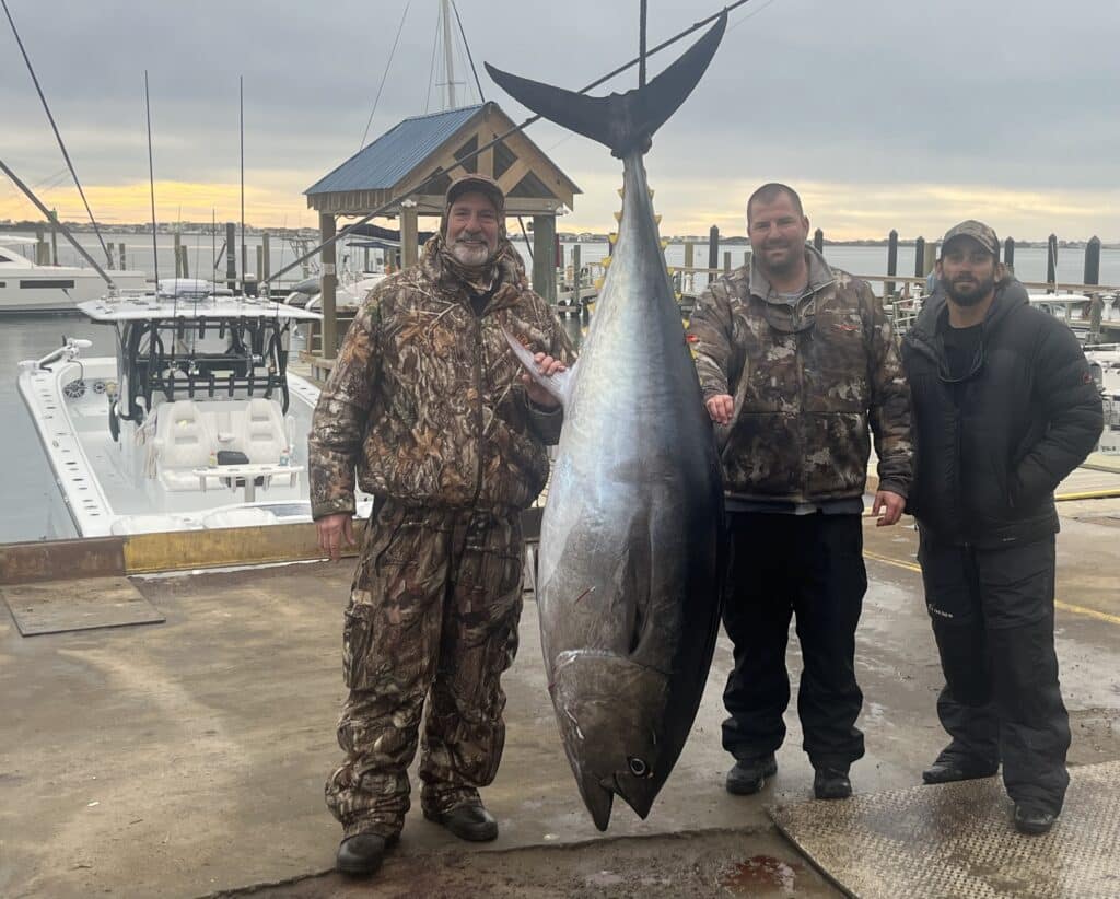 Winter Bluefin Action off North Carolina