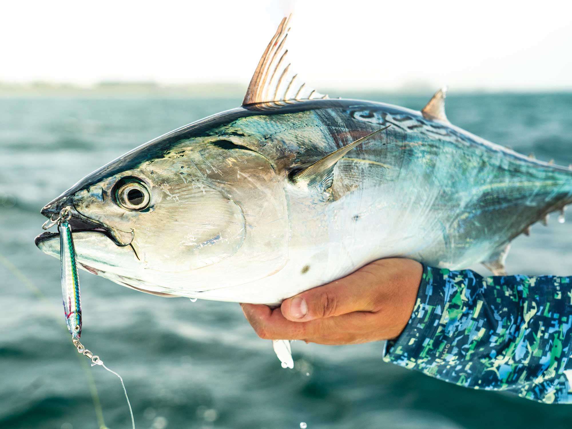 10 Tips - Fishing Blades – Tackle Tactics