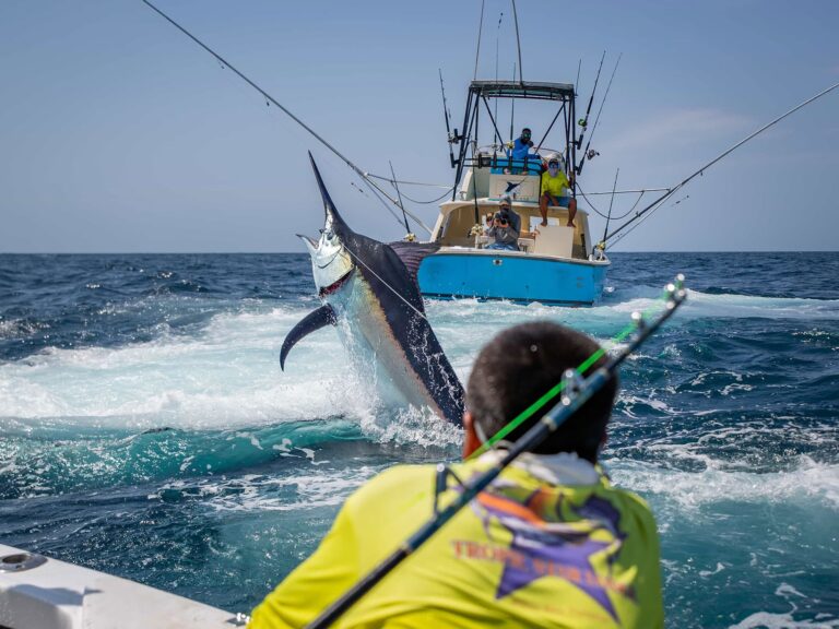 Marlin caught at Tropic Star