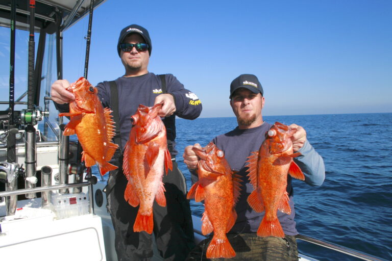 Types of Recreational Fishing