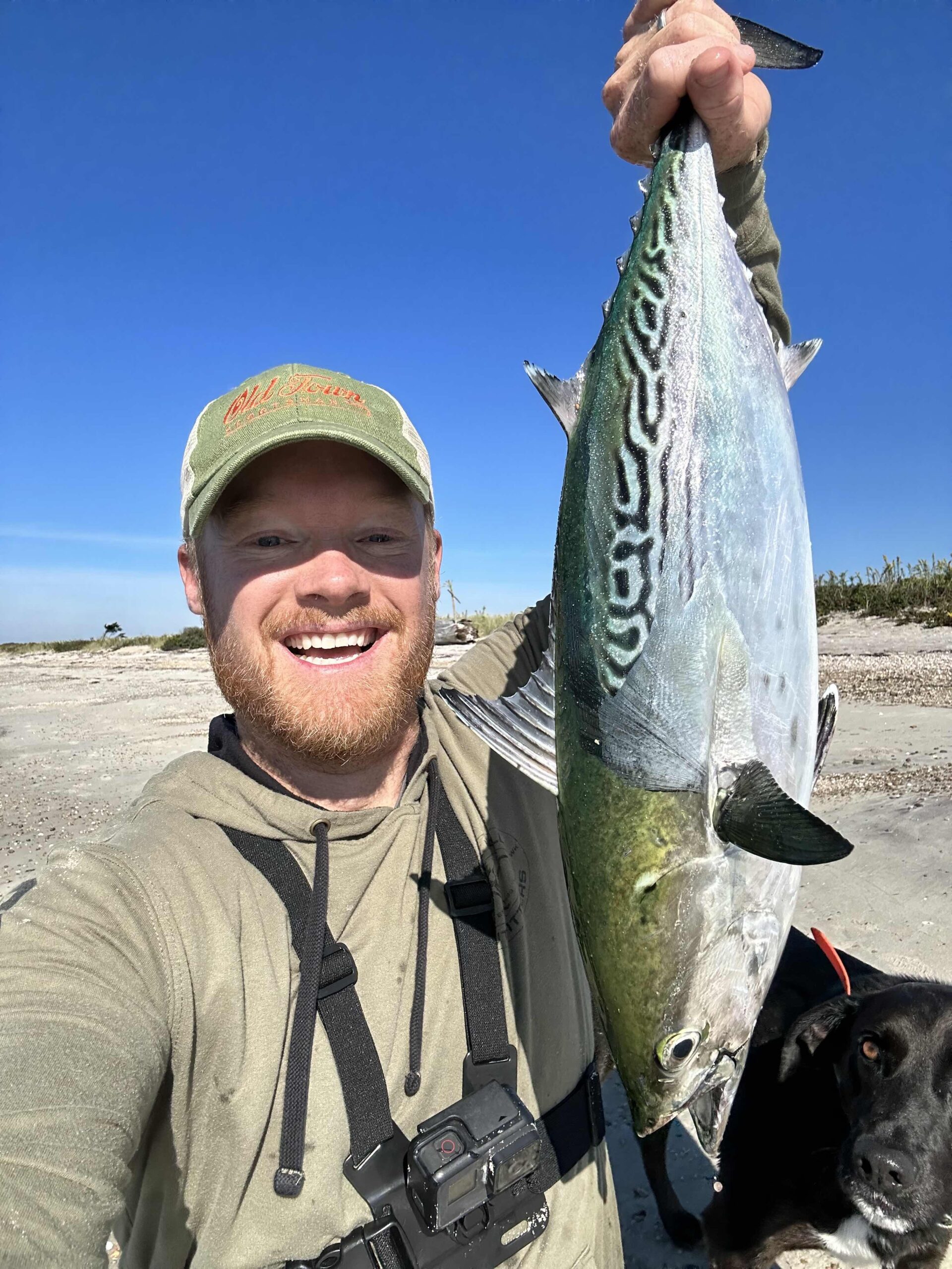 Five Underrated Fish | Salt Water Sportsman