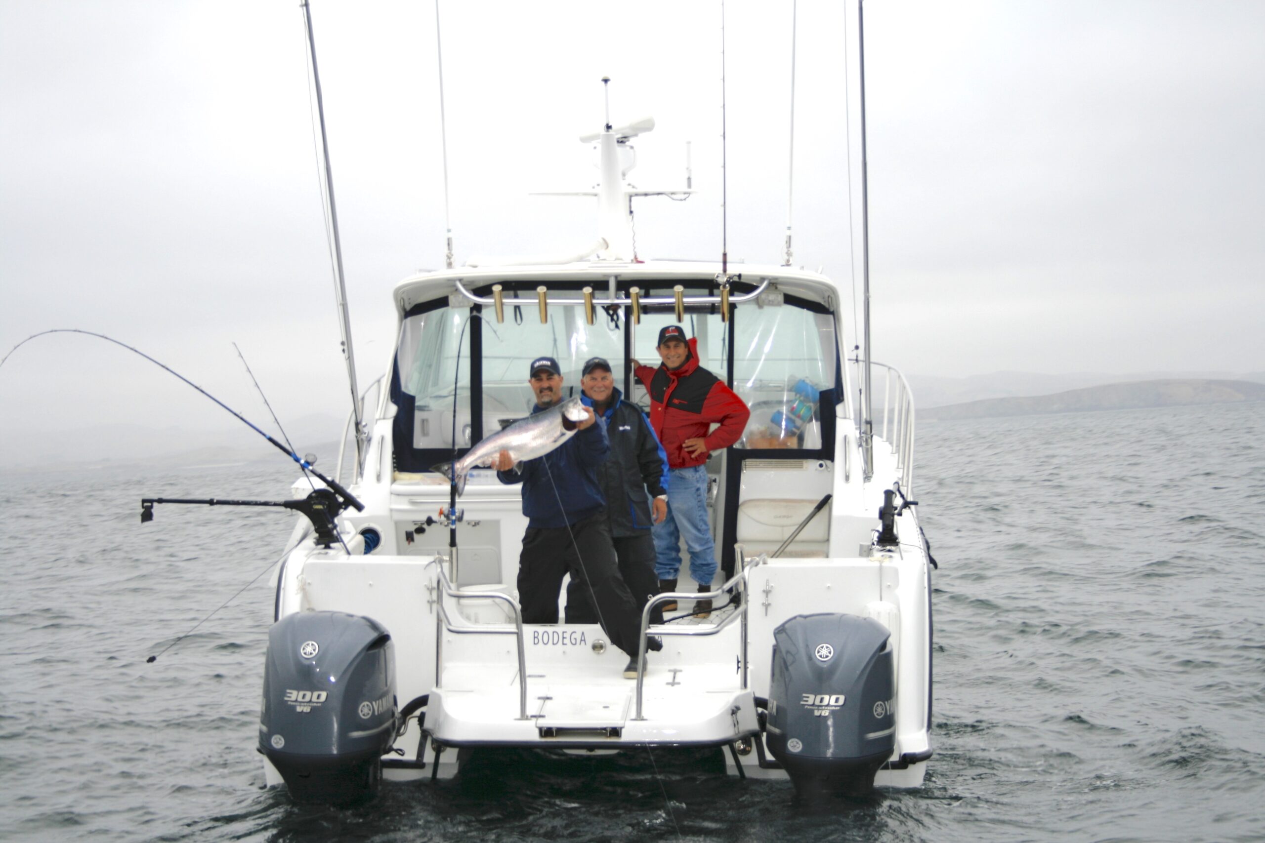 Bumper salmon season expected for WA, thanks to cooler ocean currents - ABC  News