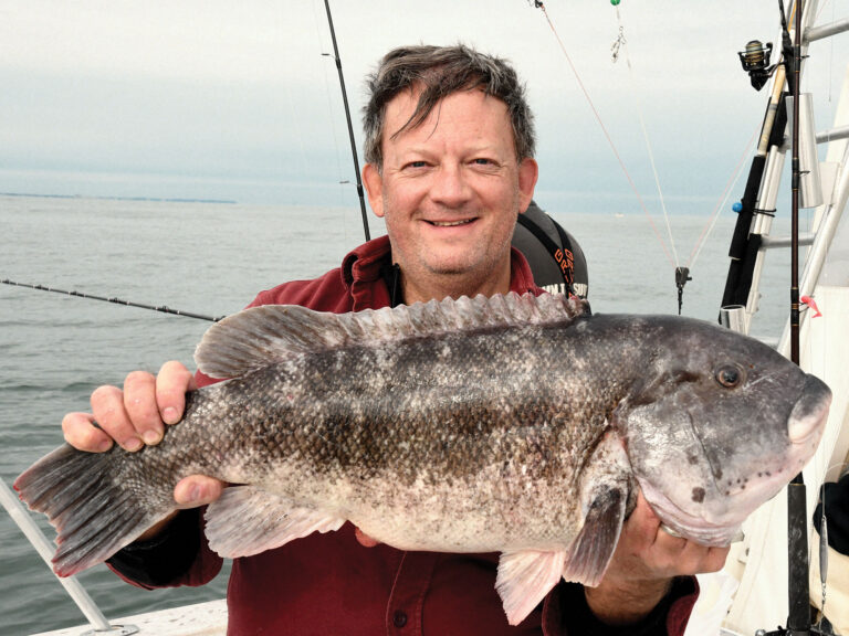 Tautog caught around Long Island Sound