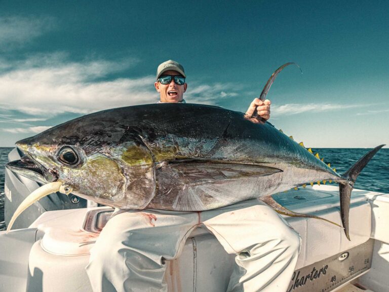 Large tuna on the boat