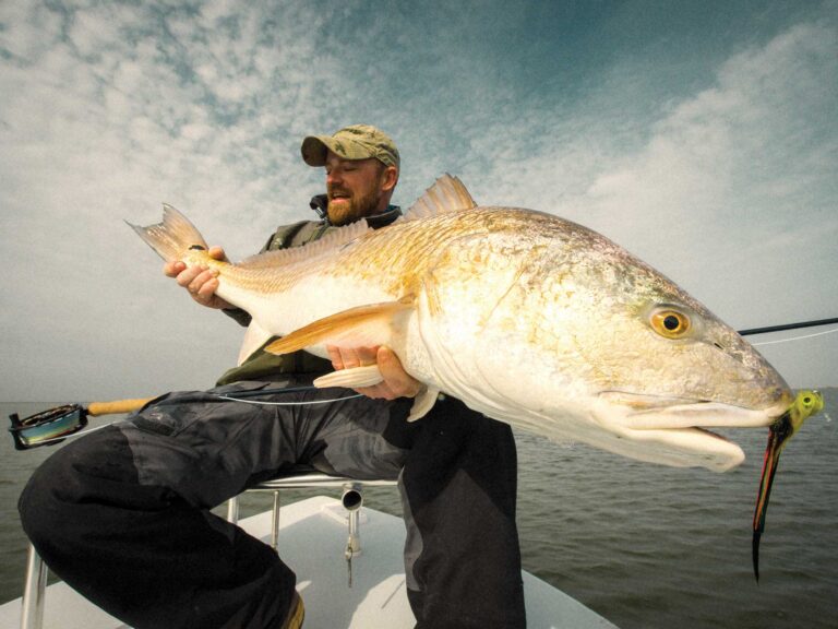 Large redfish caught in Louisiana