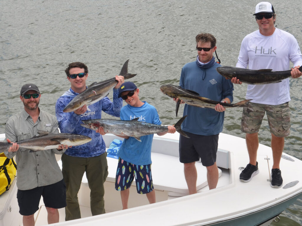 cobia and kingfish catches