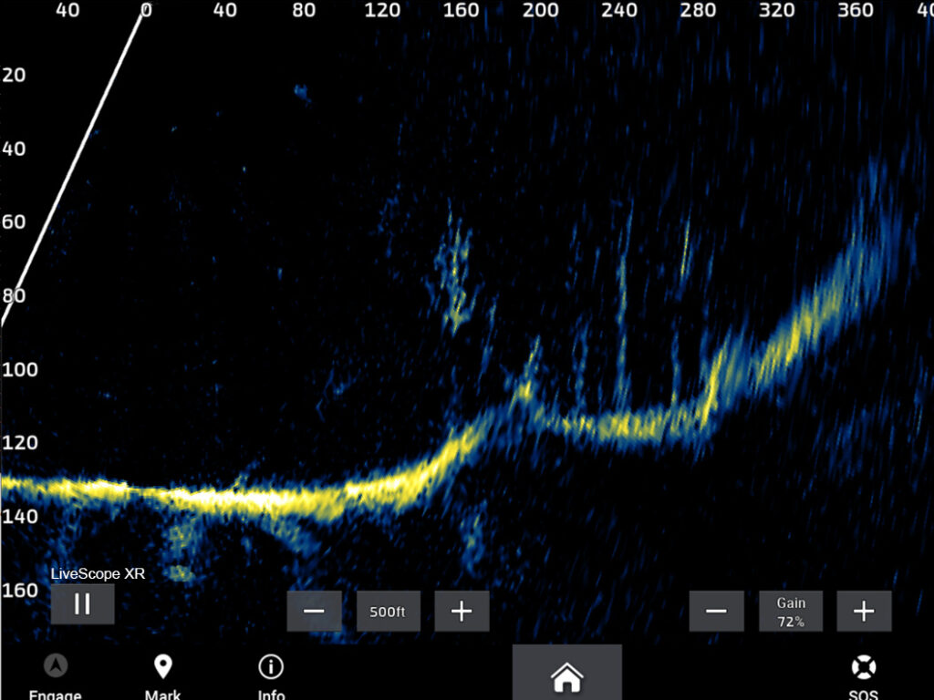 Screenshot of Garmin's LiveScope